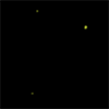 Fireflies Screensaver